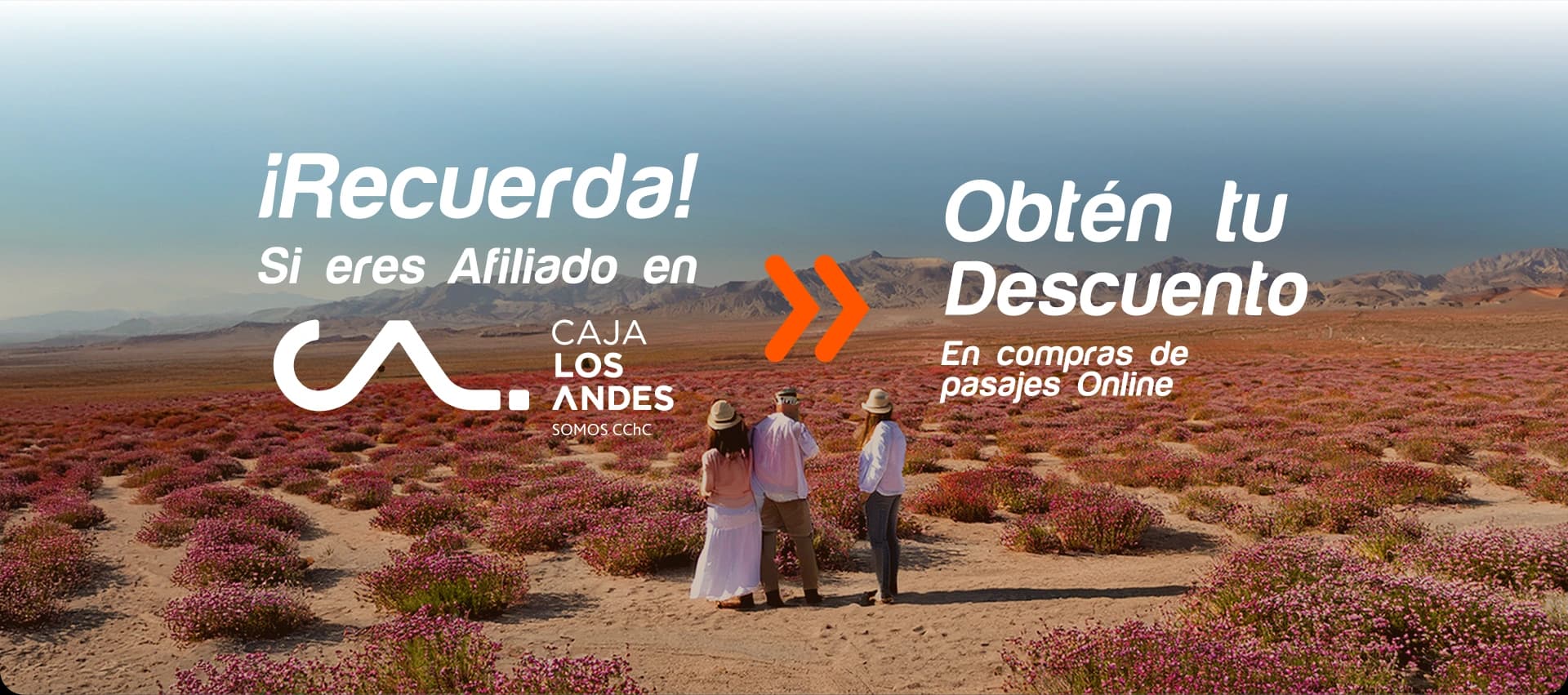 Compara y compra pasajes de bus, tren, transfer al aeropuerto en Chile